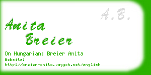 anita breier business card